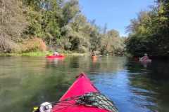 IMG-20220814-WA0008