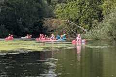 IMG-20220814-WA0012