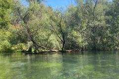IMG-20220815-WA0010