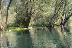 IMG-20220815-WA0013