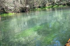 IMG-20220815-WA0015