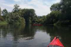 IMG-20220817-WA0006