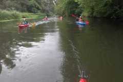 IMG-20220817-WA0011