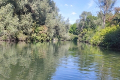 IMG_20220821_125047