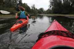 IMG-20220911-WA0017