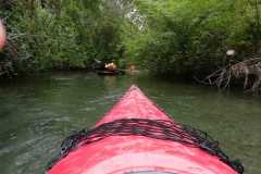 IMG-20220911-WA0019