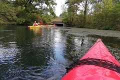 IMG-20220911-WA0020