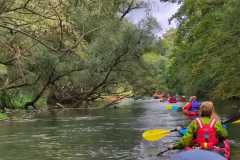 IMG-20220925-WA0025