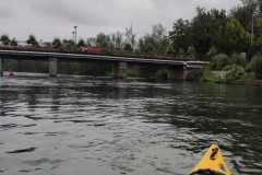 IMG-20220925-WA0010