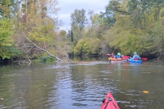 IMG_20221016_111235