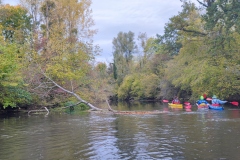 IMG_20221016_111238