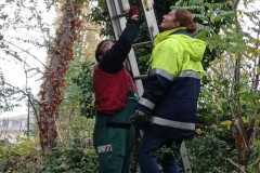 IMG-20221112-WA0036