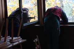 IMG-20221112-WA0037