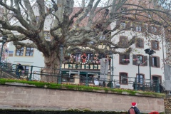 IMG_20221211_123451