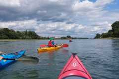 IMG-20230723-WA0008