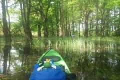 IMG-20230520-WA0007