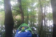 IMG-20230520-WA0009