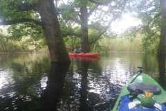 IMG-20230520-WA0010