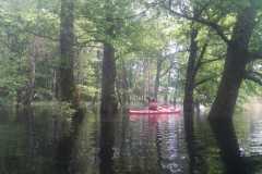 IMG-20230520-WA0011