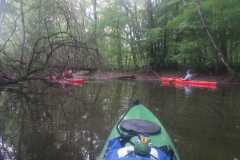 IMG-20230520-WA0014