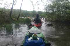 IMG-20230520-WA0016