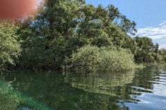 PXL_20230520_091638330