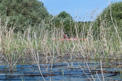 PXL_20230520_092159294