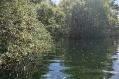 PXL_20230520_095753219
