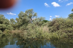 PXL_20230520_101756195