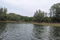 PXL_20230521_123445461
