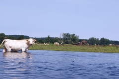 IMG_20230629_113054