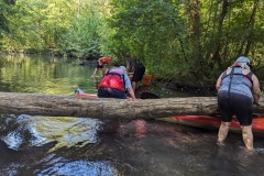 PXL_20230909_093420077.MP_