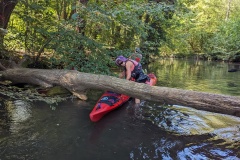 PXL_20230909_093421664.MP_