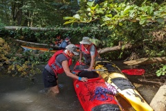 PXL_20230909_094531421