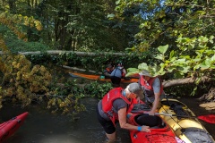 PXL_20230909_094533265