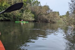 PXL_20230917_113723186.MP_