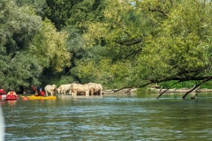 PXL_20230917_125537434