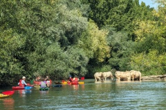 PXL_20230917_125541572