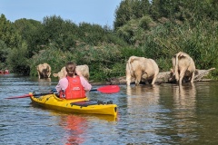 PXL_20230917_125652547