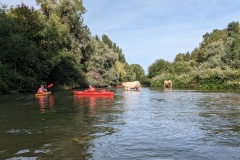 PXL_20230917_125659894.MP_