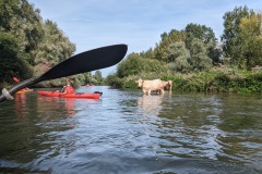 PXL_20230917_125706168.MP_