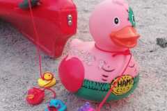 IMG-20240901-WA0024