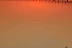 IMG-20250430-WA0005