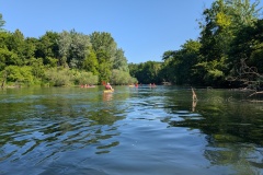 PXL_20250511_090726131
