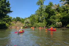 PXL_20250511_091207560