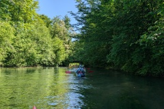 PXL_20250511_091713594.MP_