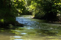 PXL_20250511_112212745