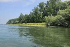 IMG-20250617-WA0003