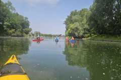 IMG-20250617-WA0008