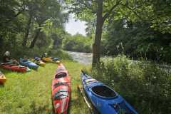 IMG-20250617-WA0012
